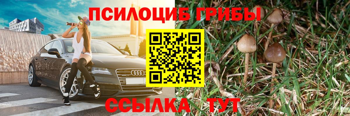 Псилоцибиновые грибы MAGIC MUSHROOMS Новоуральск