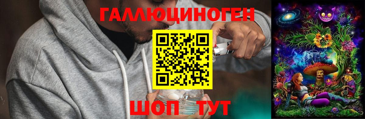 Галлюциногенные грибы Psilocybe  Вход с VPN  Новоуральск  Галлюциногенные грибы MAGIC MUSHROOMS 